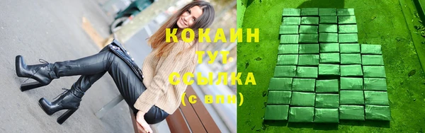 индика Бородино