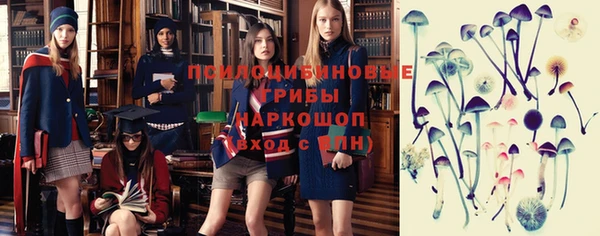 ALPHA PVP Верея